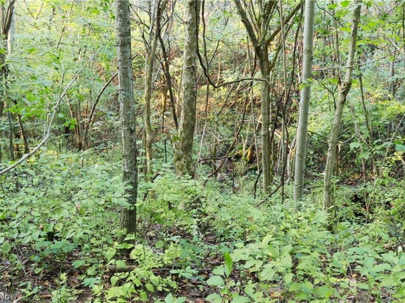 Groves Hill RD, Caldwell, OH 43724 Photo 34
