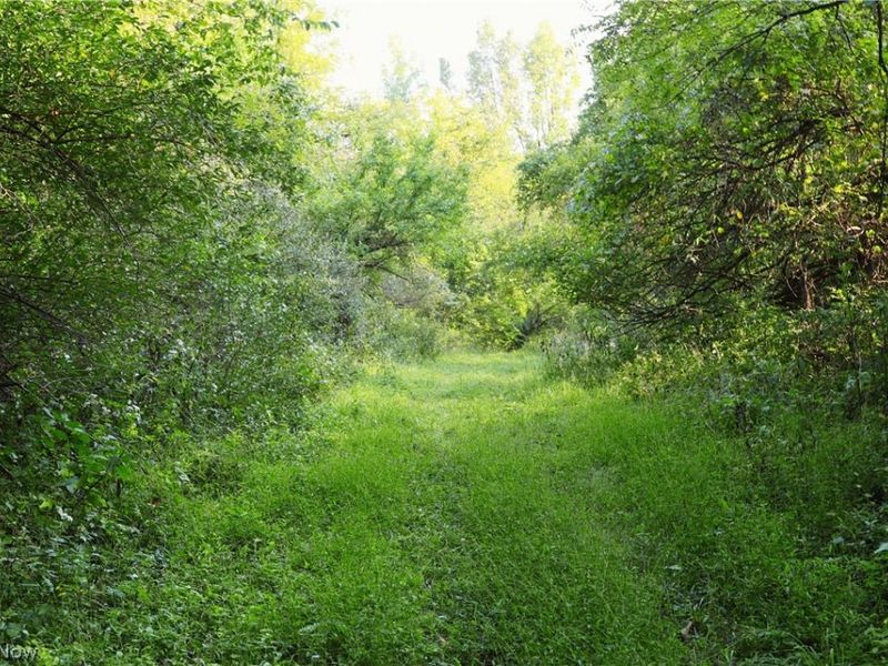 Groves Hill RD, Caldwell, OH 43724 Photo 35