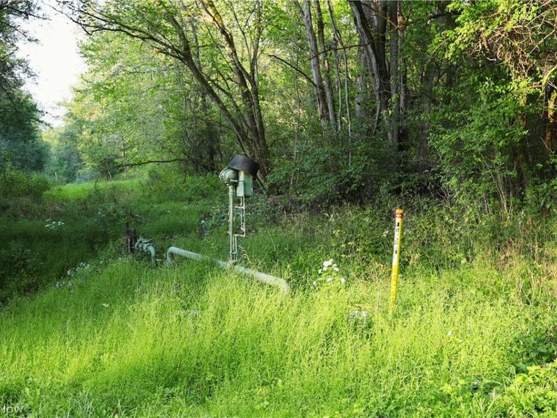 Groves Hill RD, Caldwell, OH 43724 Photo 37