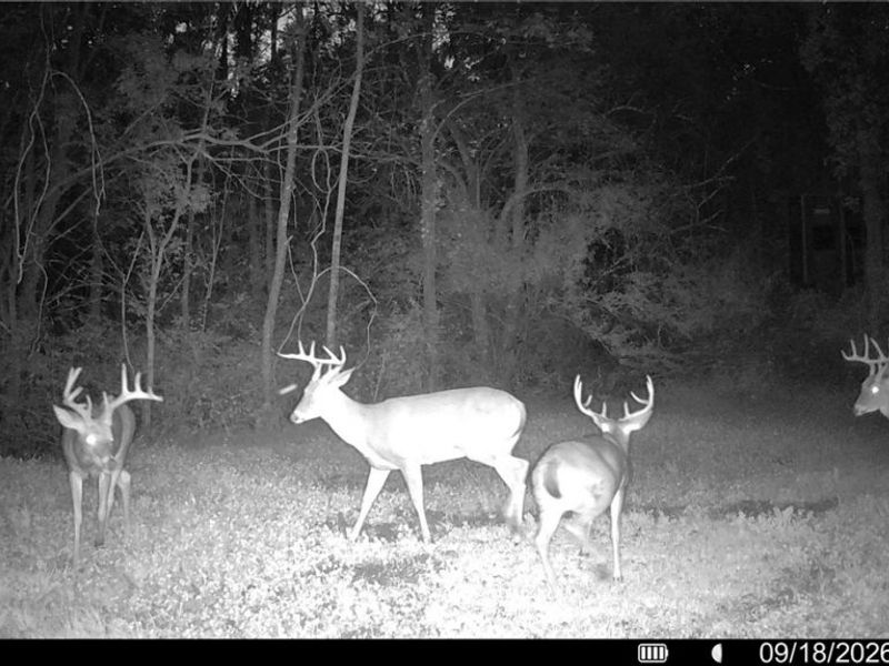 Groves Hill RD, Caldwell, OH 43724 Photo 4