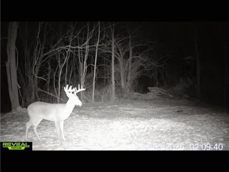 Groves Hill RD, Caldwell, OH 43724 Photo 43