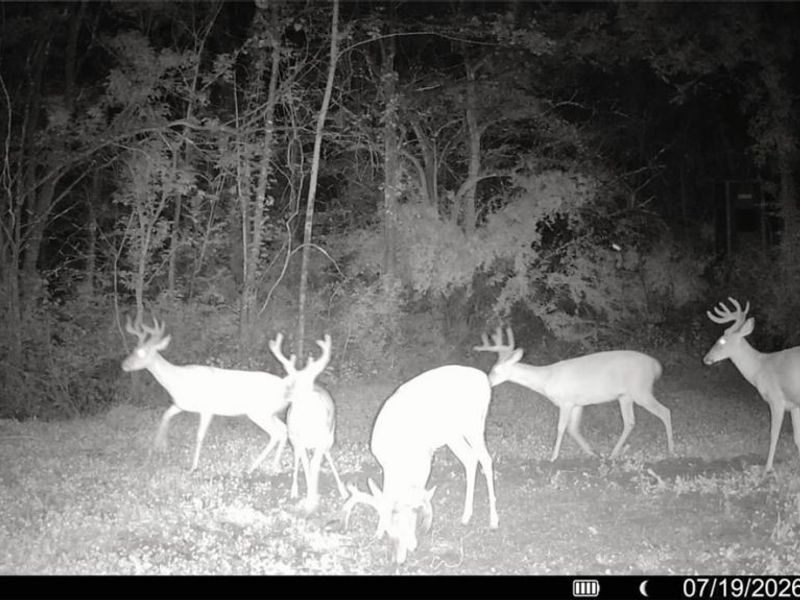 Groves Hill RD, Caldwell, OH 43724 Photo 45