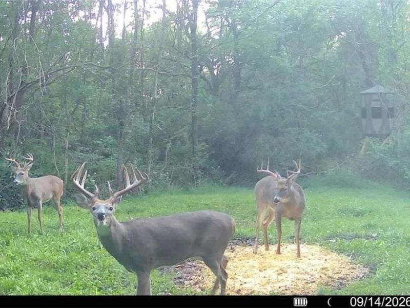 Groves Hill RD, Caldwell, OH 43724 Photo 8
