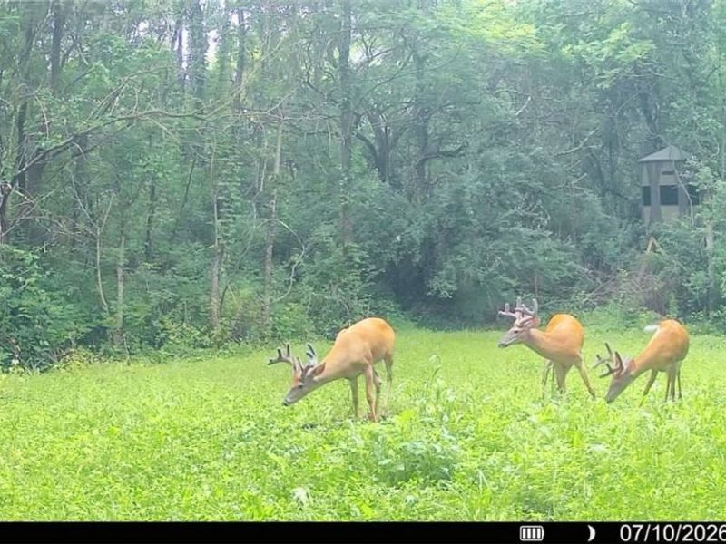 Groves Hill RD, Caldwell, OH 43724 Photo 9