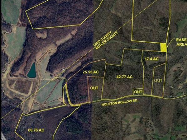 0 Holston Hollow Road , Morgantown, KY 42261