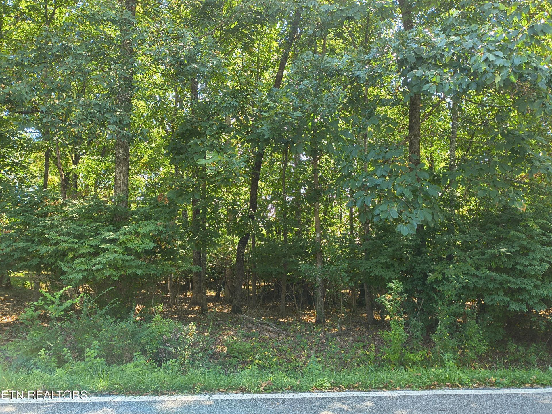 153 Greenwood Rd, Crossville, TN 38558 Main Photo