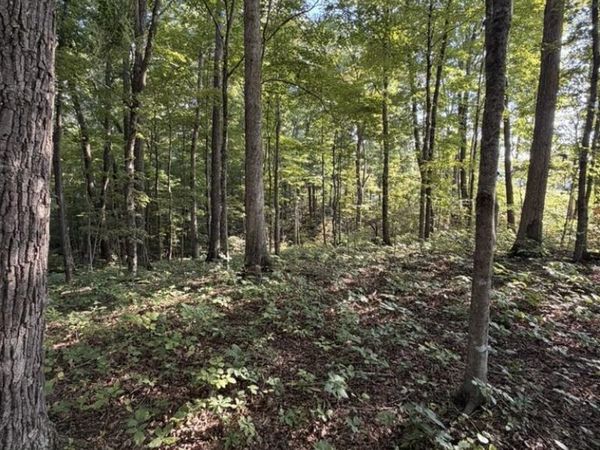 1700 Canada Flatt Road, Cookeville, TN 38506