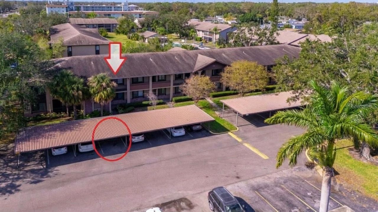 721 83rd Avenue N, Unit 202, Saint Petersburg, FL 33702 Photo
