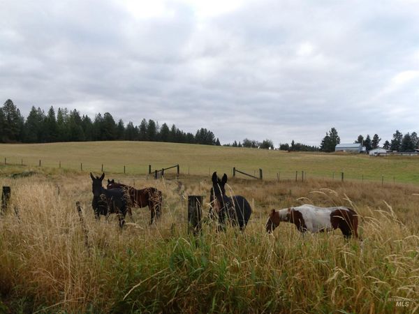 1385 Cottonwood Butte Rd, CottonWood, ID 83522