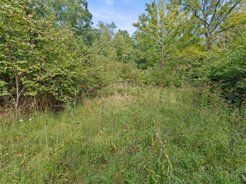 1892 US 52, Moscow, OH 45153 Photo 4