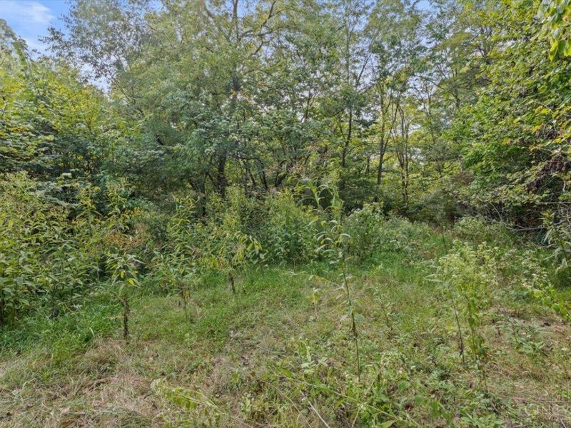 1892 US 52, Moscow, OH 45153 Photo 5