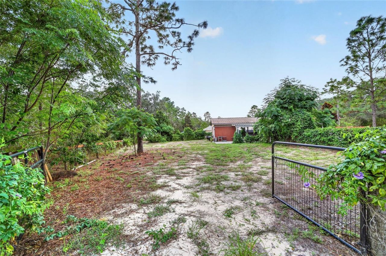 4295 N Bridger Drive, Beverly Hills, FL 34465 Photo