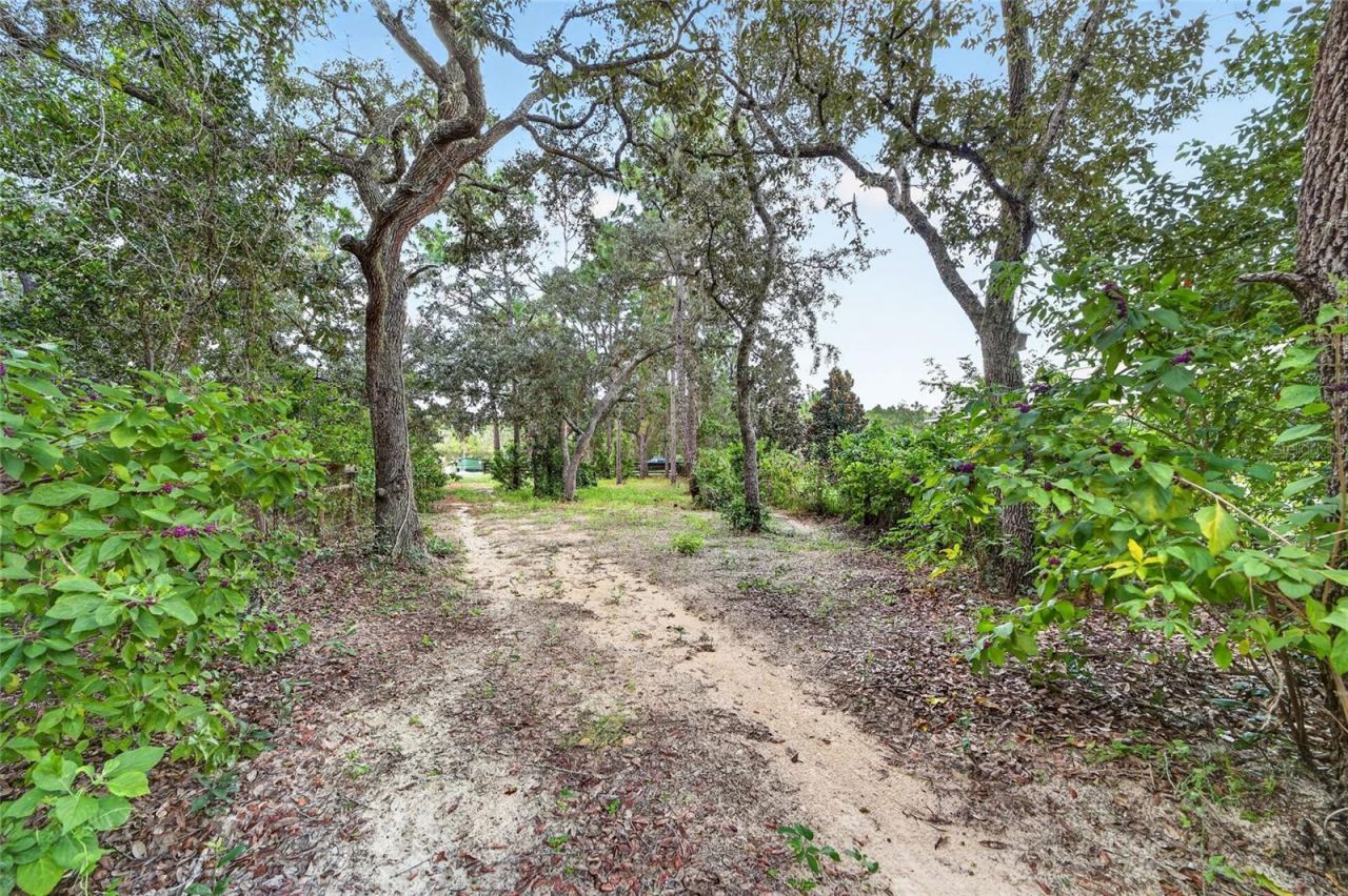 4295 N Bridger Drive, Beverly Hills, FL 34465 Photo