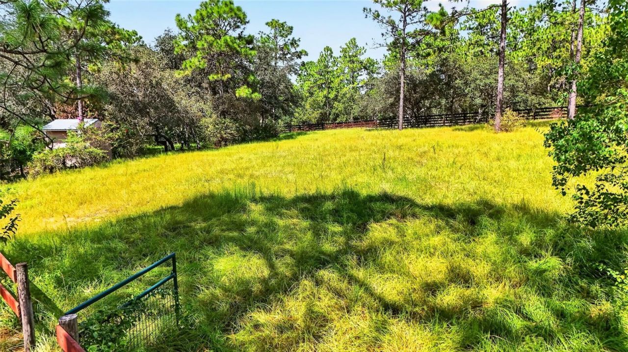 4295 N Bridger Drive, Beverly Hills, FL 34465 Photo