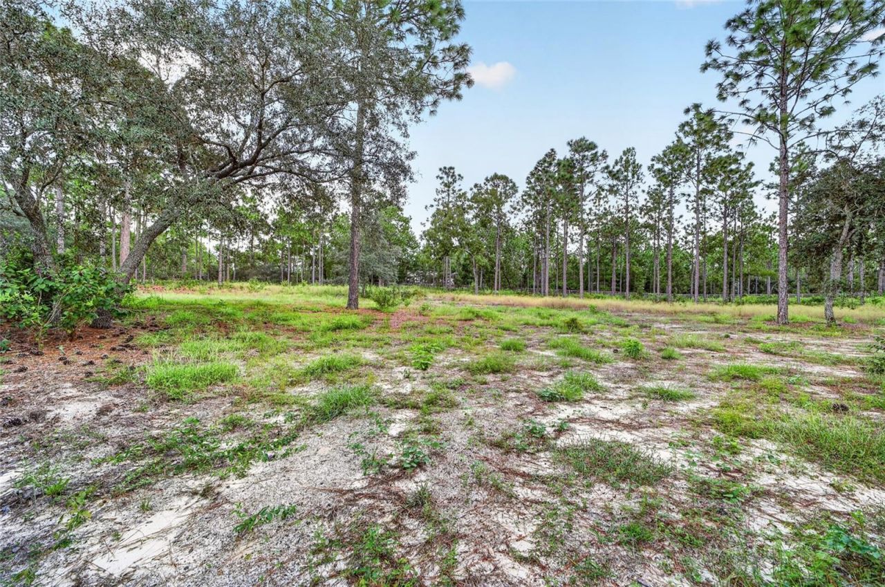4295 N Bridger Drive, Beverly Hills, FL 34465 Photo