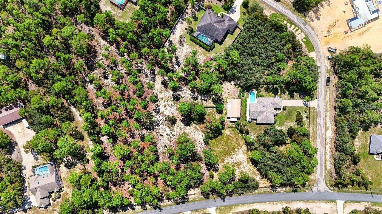4295 N Bridger Drive, Beverly Hills, FL 34465 Photo