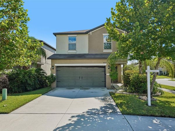 4714 RON EDDIE PLACE , TAMPA, FL 33619
