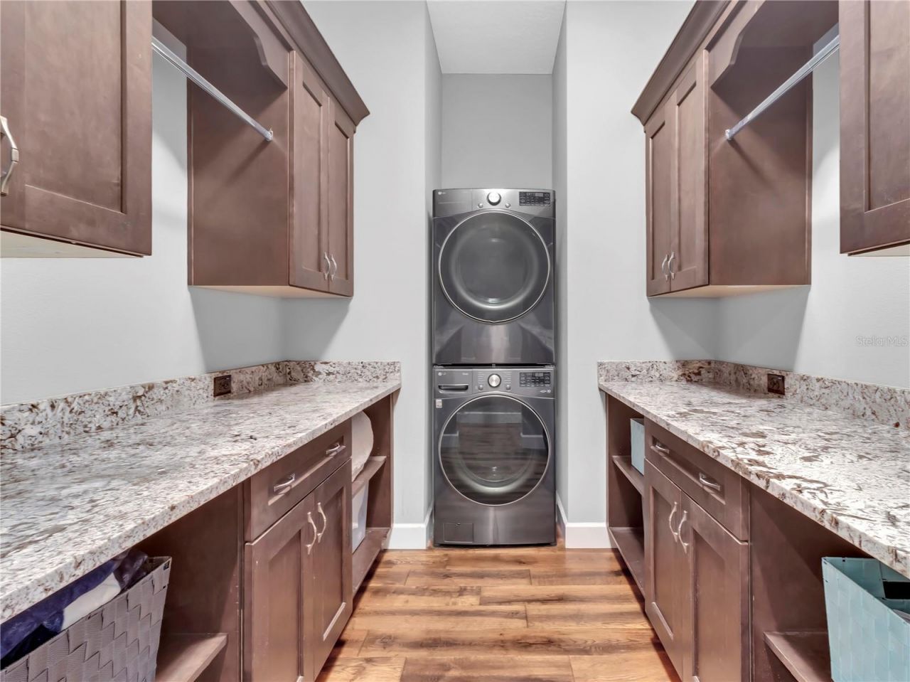 29547 Chapel Park Drive, Wesley Chapel, FL 33543 Photo