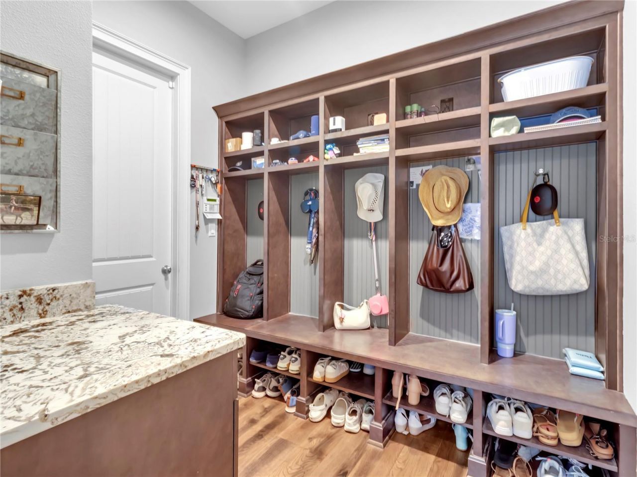 29547 Chapel Park Drive, Wesley Chapel, FL 33543 Photo