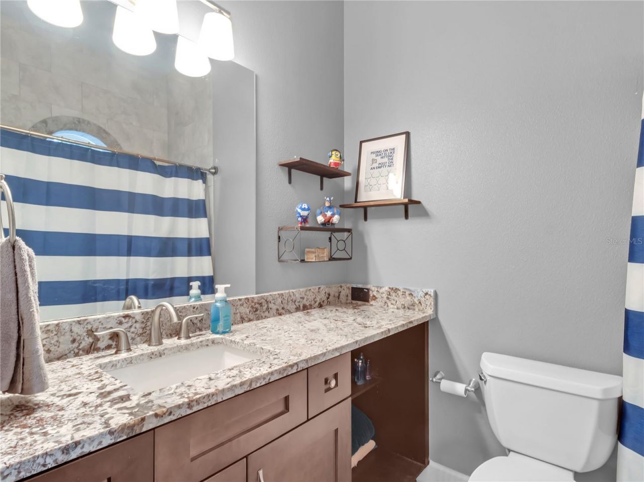 29547 Chapel Park Drive, Wesley Chapel, FL 33543 Photo