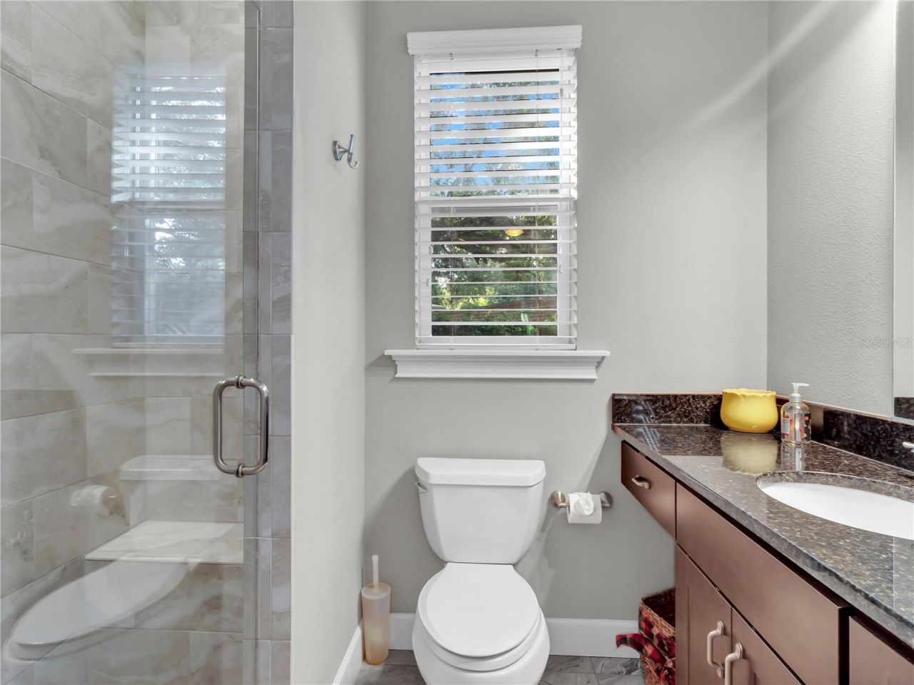 29547 Chapel Park Drive, Wesley Chapel, FL 33543 Photo