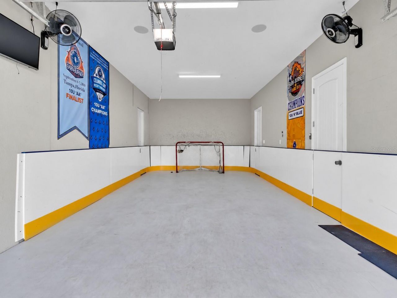29547 Chapel Park Drive, Wesley Chapel, FL 33543 Photo