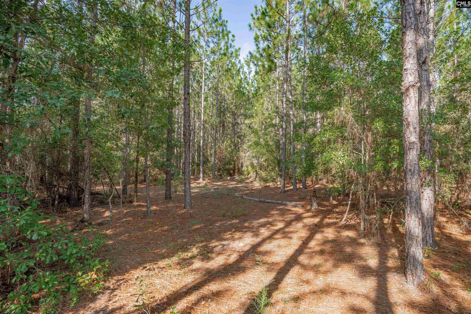 1108 Cotton Branch Road  Photo 62