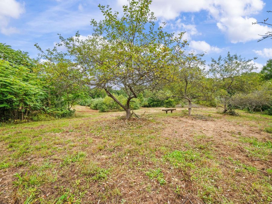 Property Image 64