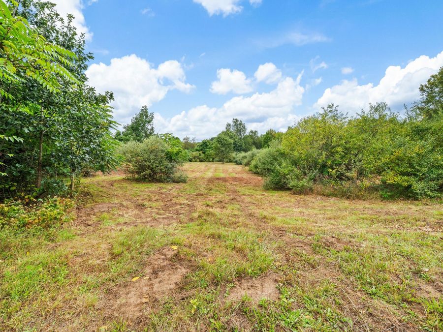 Property Image 65
