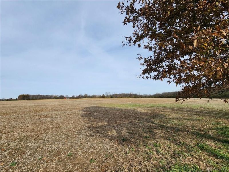 Tract 8 Hollingsworth Road, Jamestown, OH 45335 Photo 4