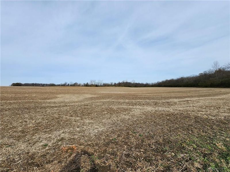 Tract 8 Hollingsworth Road, Jamestown, OH 45335 Photo 8