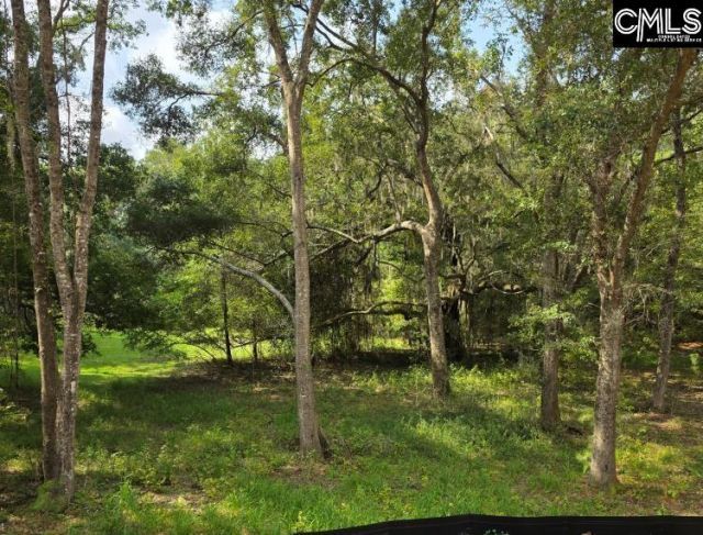 1661 Blues Lane Photo 16