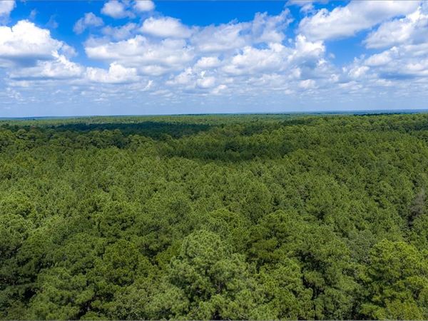 NE Off Of FM 227 , Kennard, TX 75847