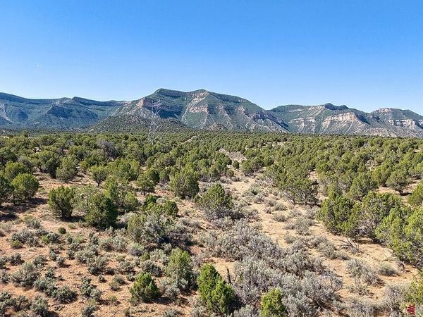 TBD Road F, Cortez, CO 81321