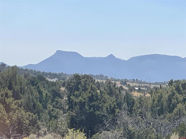 Lot 3 Road 25, Dolores, CO 81323