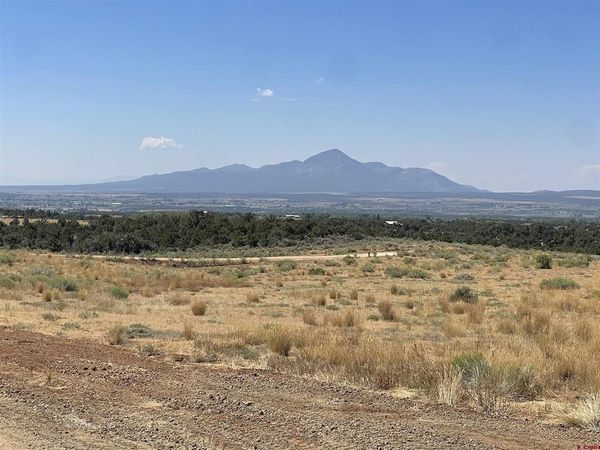 Lot 7 Road 25, Dolores, CO 81323