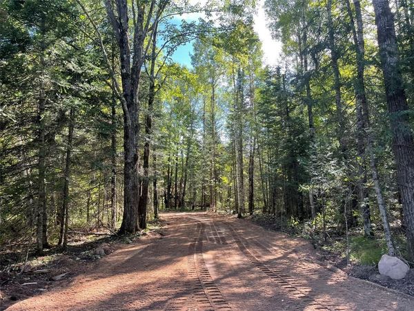 Lot 2 Fadness Road, Winter, WI 54896