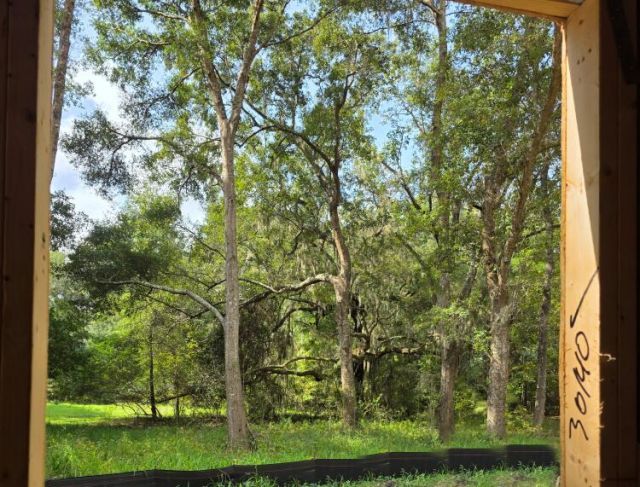1661 Blues Lane Photo 19