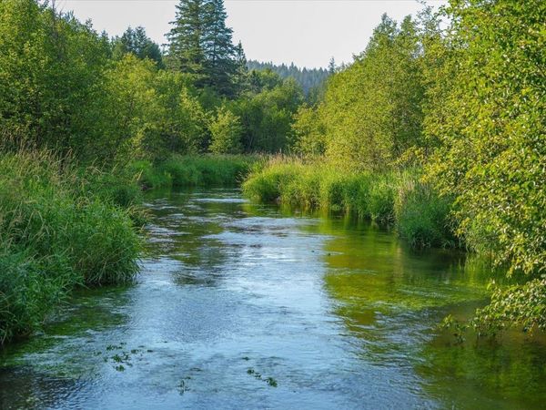 NKA Little Spokane River Rd, Newport, WA 99156