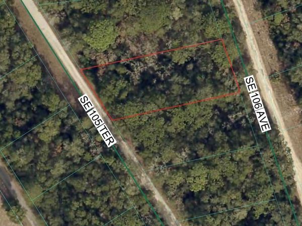 SE 105 TH TERRACE, OCKLAWAHA, FL 32179