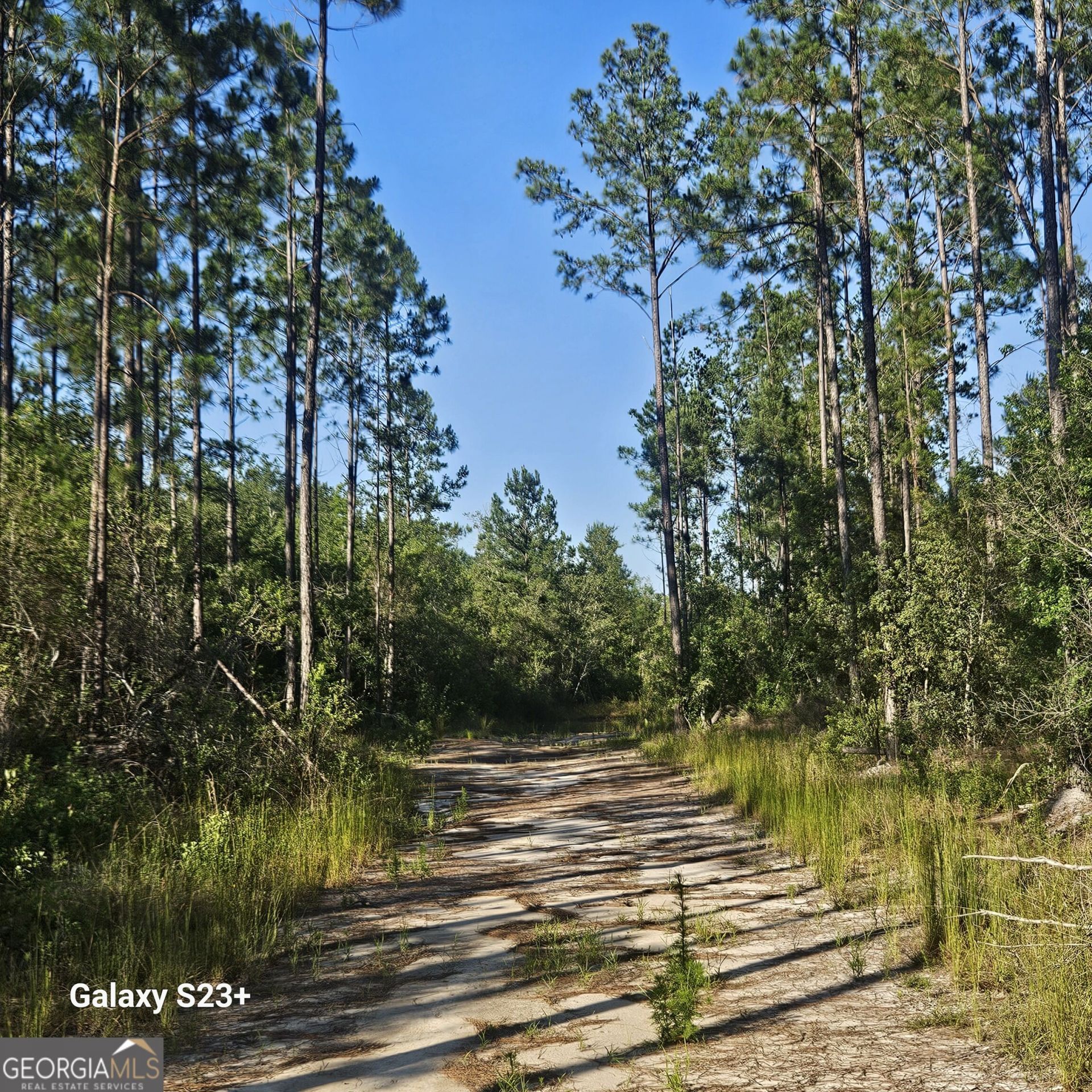 0 Mill Branch Club Road Lot 1p, Pembroke, GA 31321 Main Photo