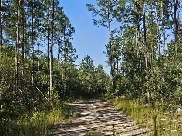 0 Mill Branch Club Road Lot 1P, Pembroke, GA 31321