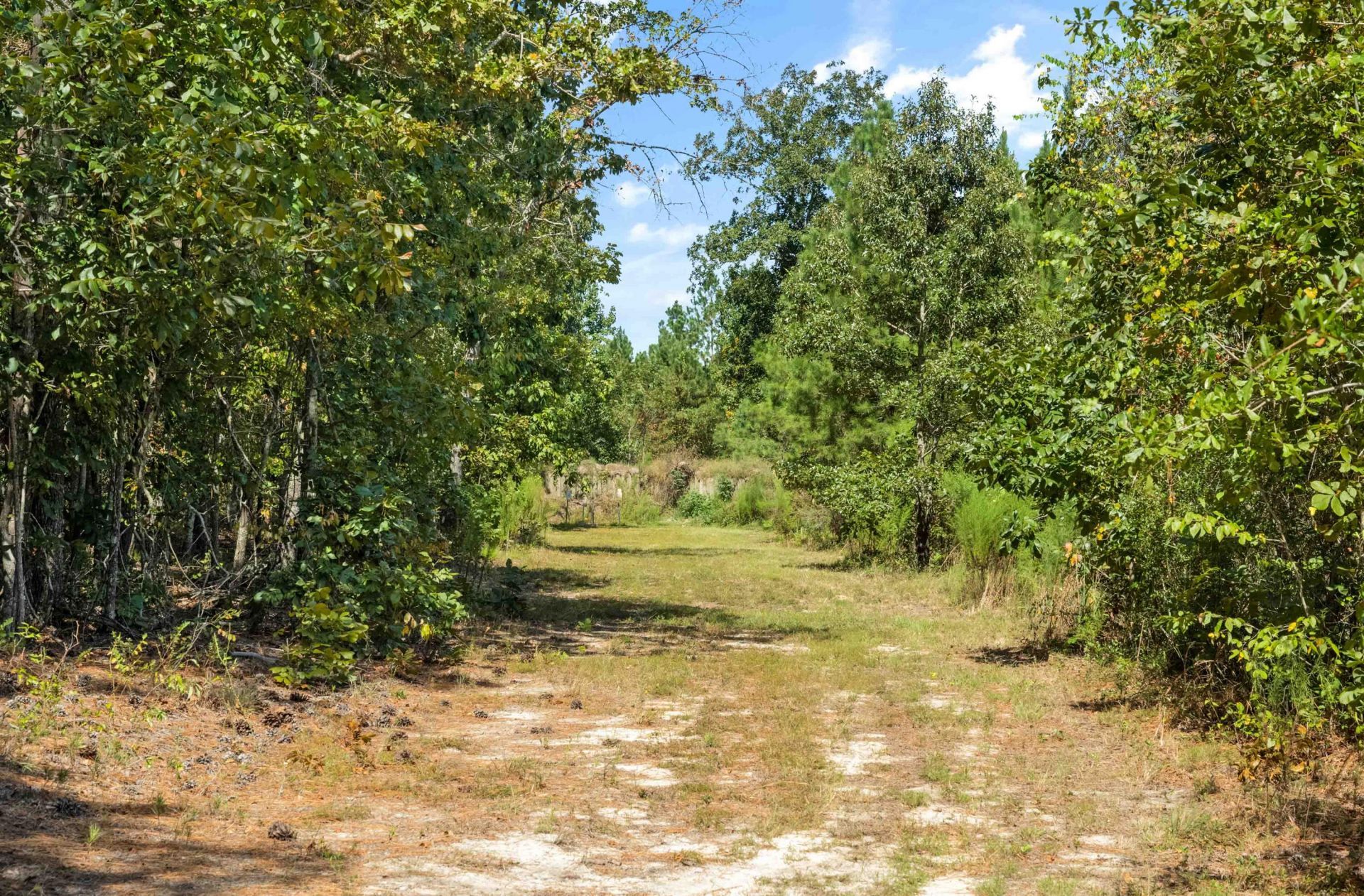 1084 Farnum Road Photo 103