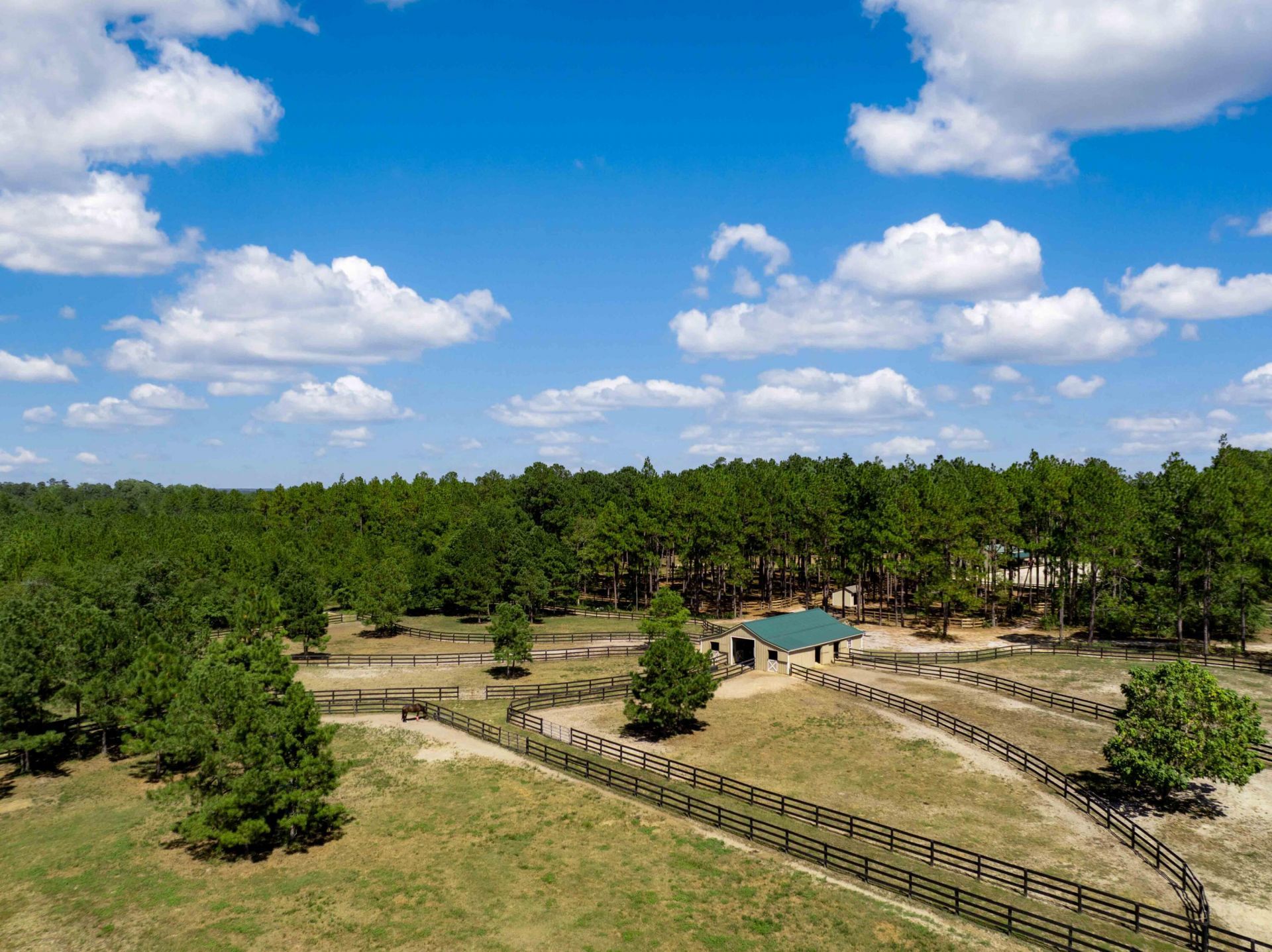 1084 Farnum Road Photo 6
