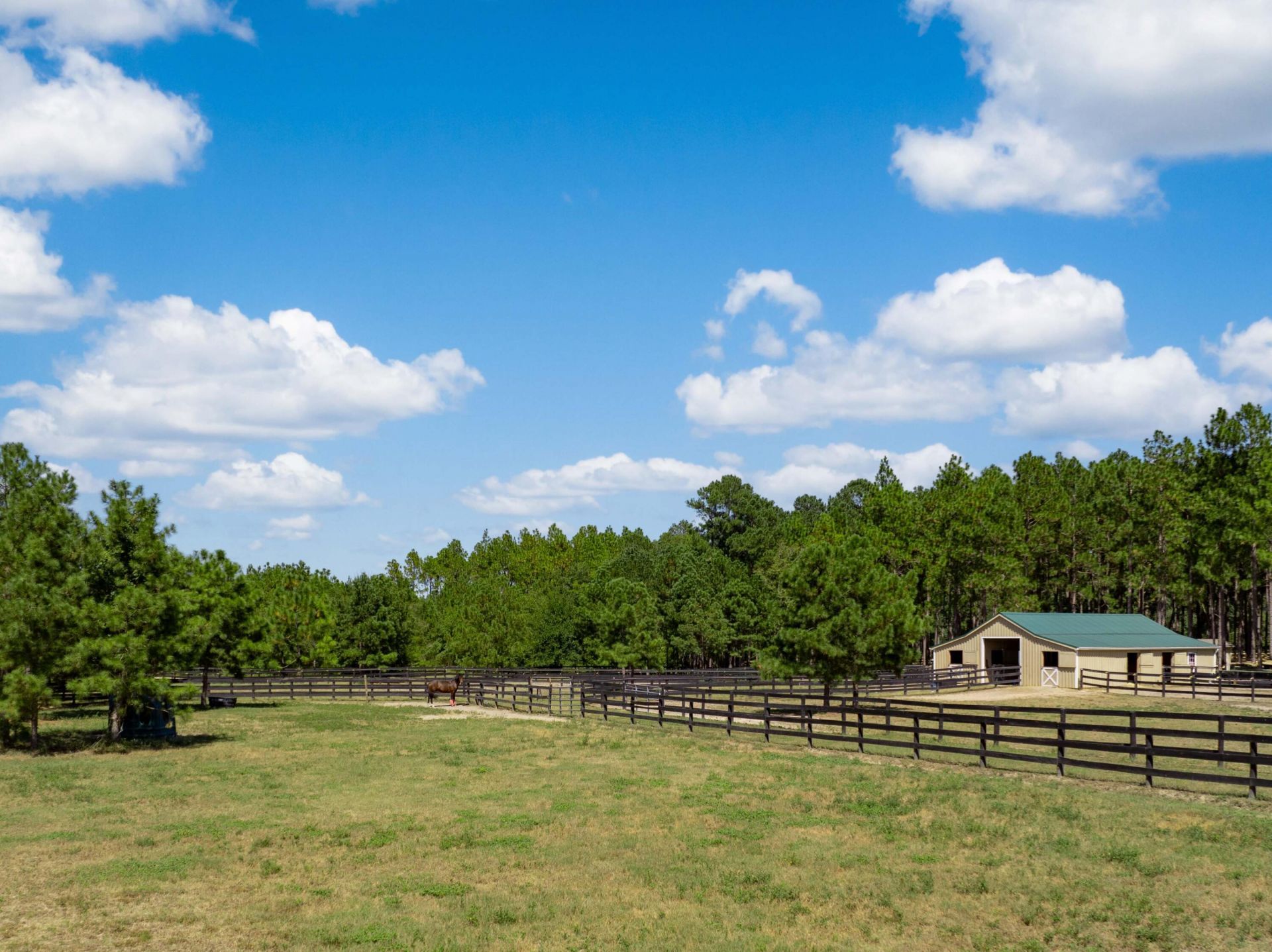 1084 Farnum Road Photo 91