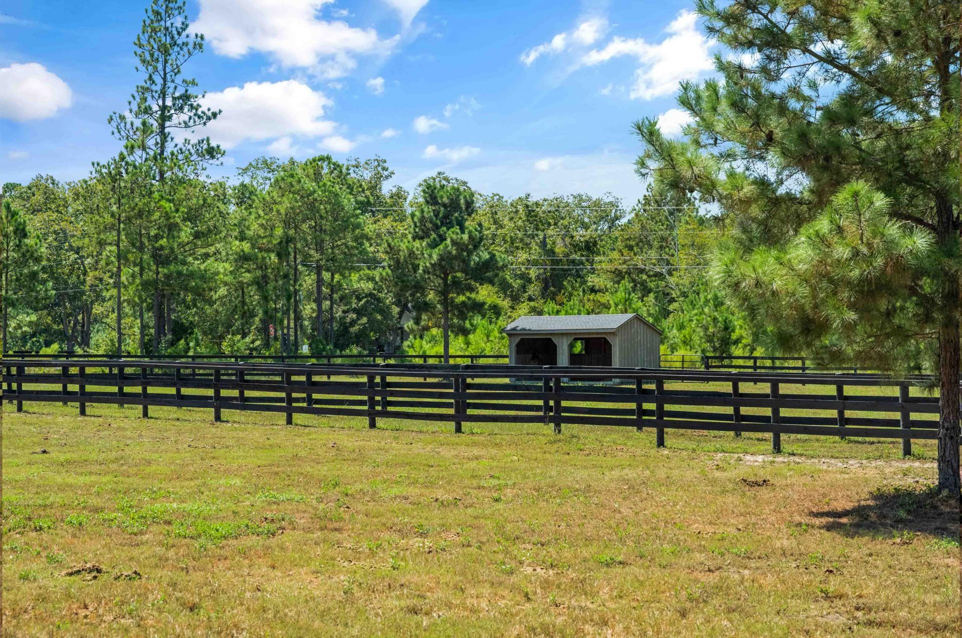 1084 Farnum Road Photo 93