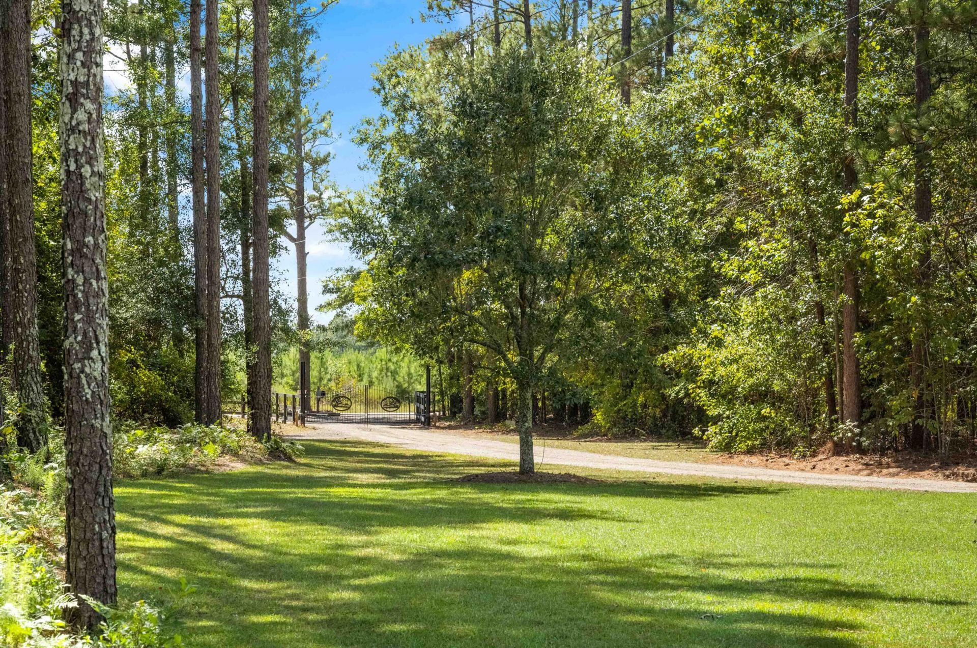 1084 Farnum Road Photo 99