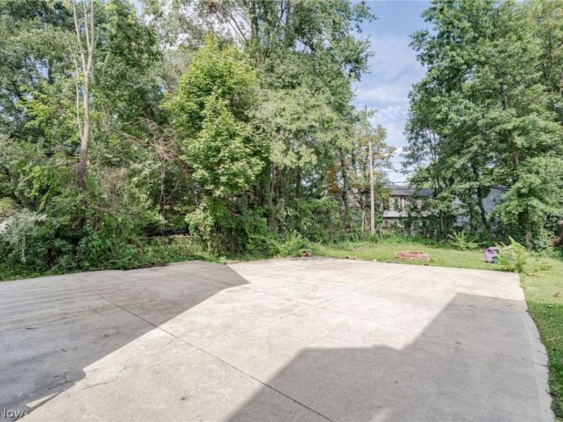 9913 Rosehill Avenue, Cleveland, OH 44104 Photo 28