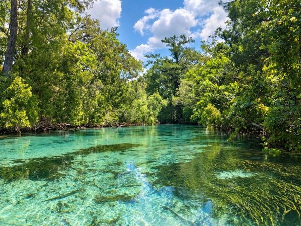 7071 MERTAL STREET , WEEKI WACHEE, FL 34607