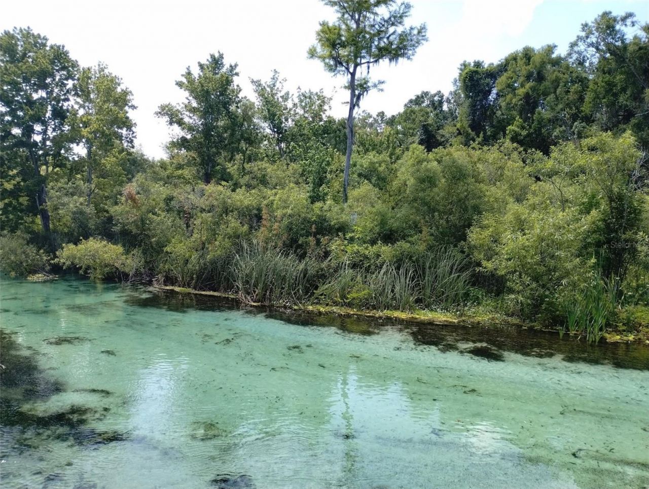 7071 Mertal Street , Weeki Wachee, FL 34607 Photo